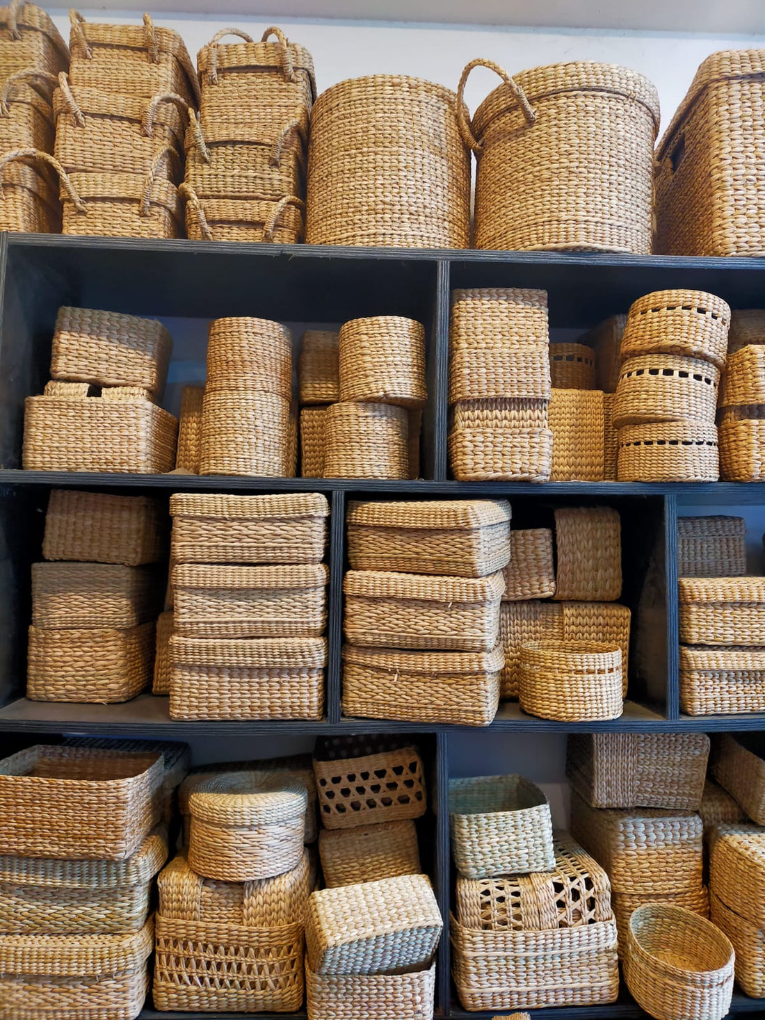 Kauna Grass