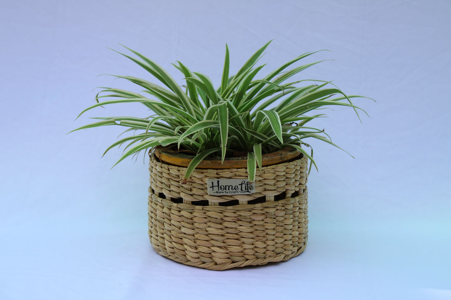 Mini Kauna planter