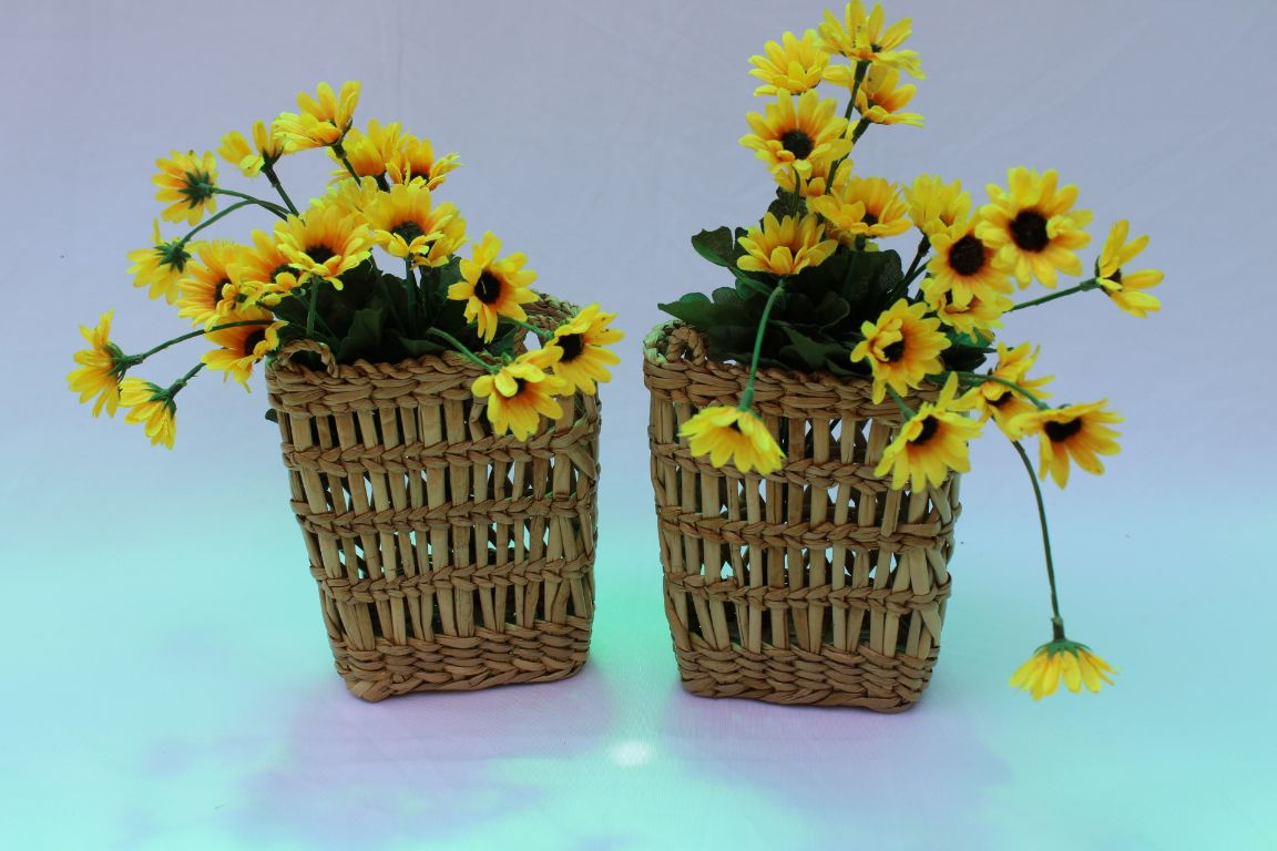 Wall Hanging Planter(set of 2)