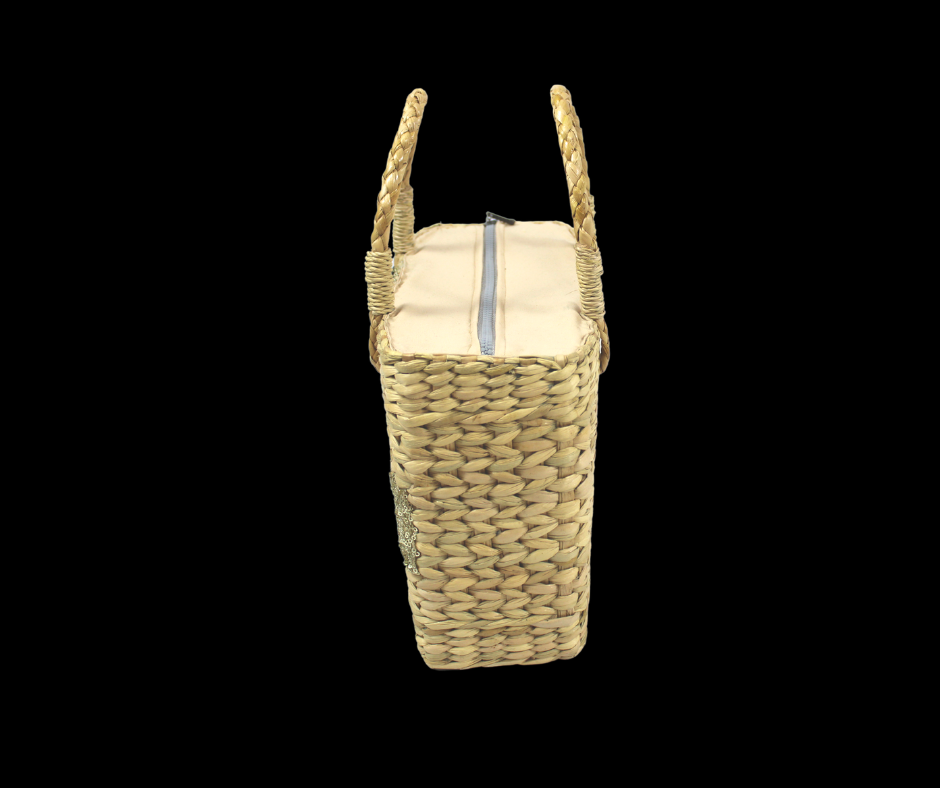 Golden Sequin hand bag