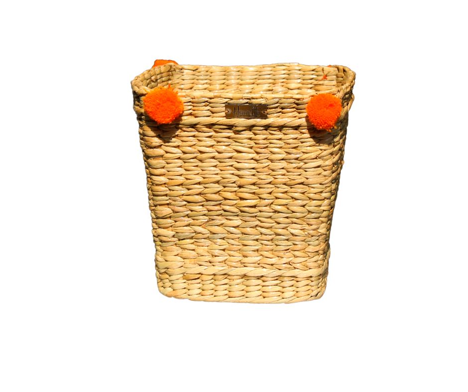 Indoor planter with orange pom pom
