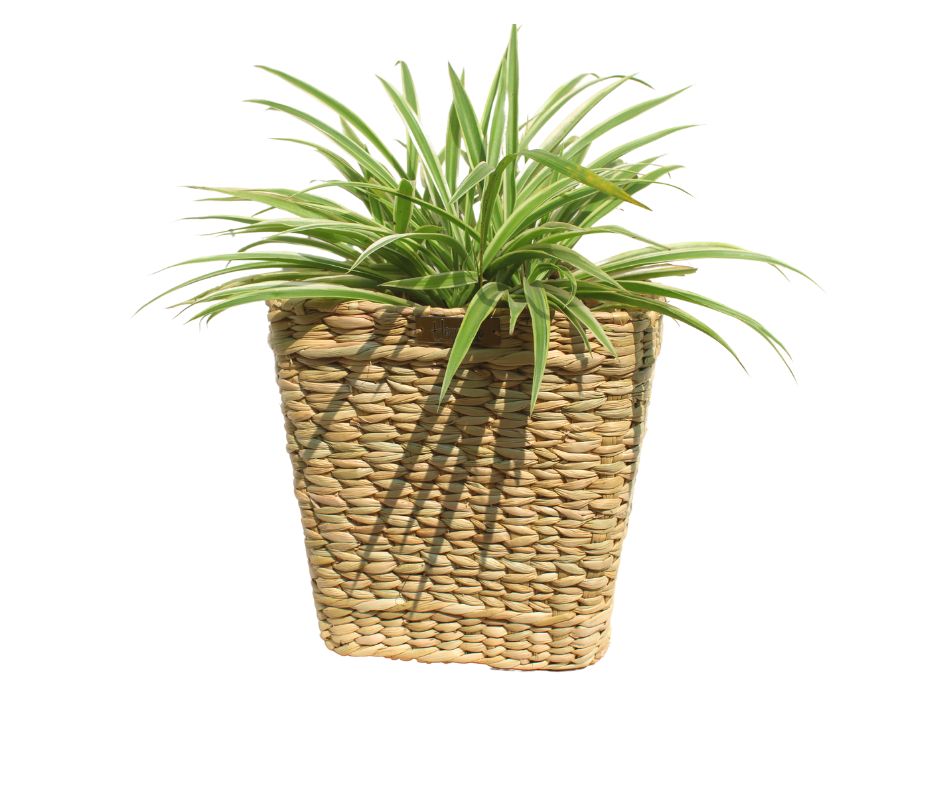 Square Size Handmade Indoor Planter