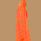 Bijli Orange Bandhej Saree