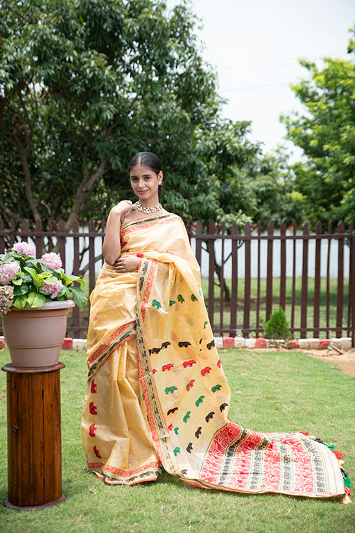 Kaziranga saree