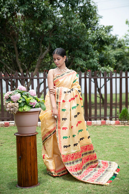 Handloom Kaziranga saree