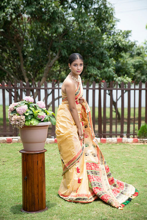 Handloom Kaziranga saree